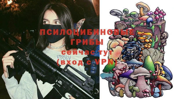героин Богородицк