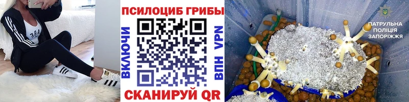 Псилоцибиновые грибы прущие грибы  Нариманов 